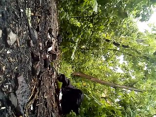 Hot Blonde Girl With Big Ass Takes A Big Shit In The Woods On Webcam