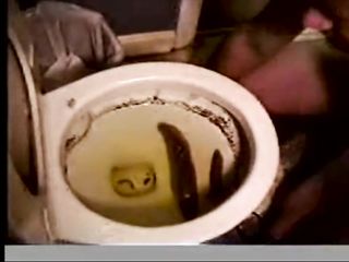 Faggot Eats Shit From Toilet At Biker Club