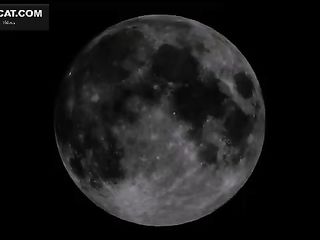 Sexy Teen With Amazing Ass Shits After Using Anal Beads And Smears Scat While Masturbating