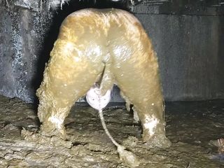Guy dunks his ass in cow shit under a cowshed