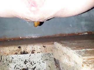Girl With Wrecked Pussy Shitting In Outhouse