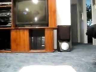 Black Girl Takes A Nice Greasy Shit For Us