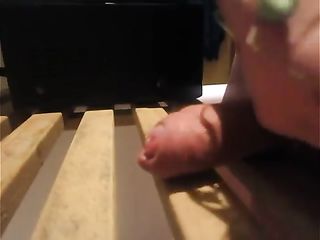 Preying Mantis Eats Blood From Cock