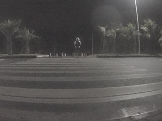 SLUT SHIT IN PANTYHOSE （2）