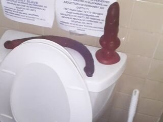 Sissy Cumslut Toilet Slave for perverted sadist Master