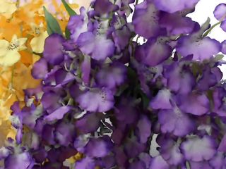 Horny Scat Slave In Lesbian Scat Domination Video Eats Shit And Drinks Piss