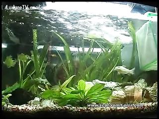 Three Lesbians Enjoy Amazing Shit Play Together On Webcam